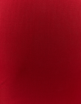 Red Long Sleeves Crop Top