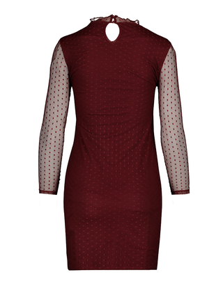 Vestito Bordeaux Trasparente | TALLY WEiJL Online Shop