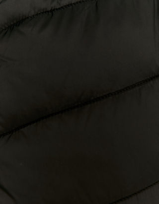 TALLY WEiJL, Black Cropped Padded Jacket for Women