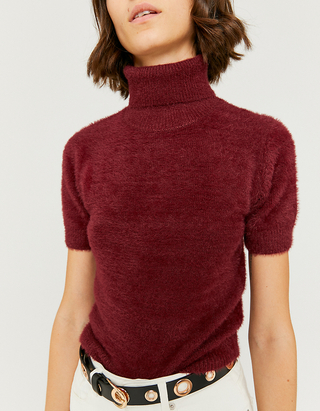 Red Cropped Jumper