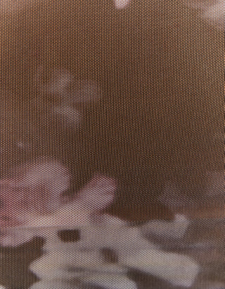 TALLY WEiJL, Top en mesh noir avec imprimé floral for Women