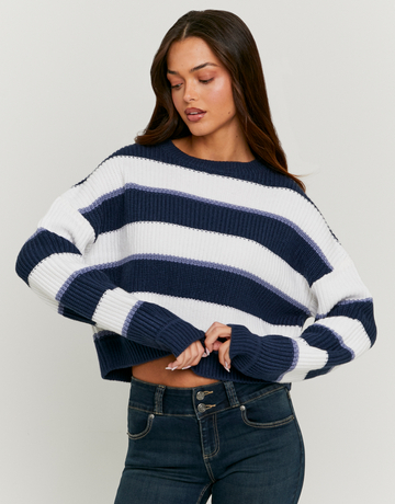 Blue Striped Knitted Jumper | TALLY WEiJL