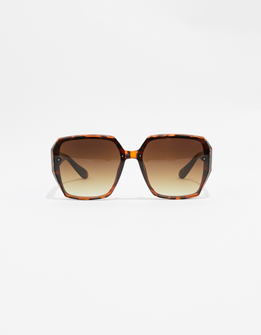 Brown Big Sunglasses | TALLY WEiJL