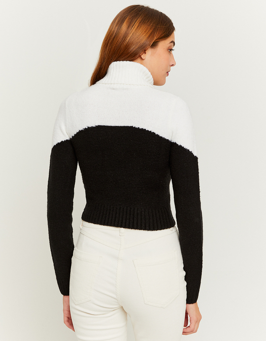 Colorblock Cropped Turtle Neck Jumper | TALLY WEiJL