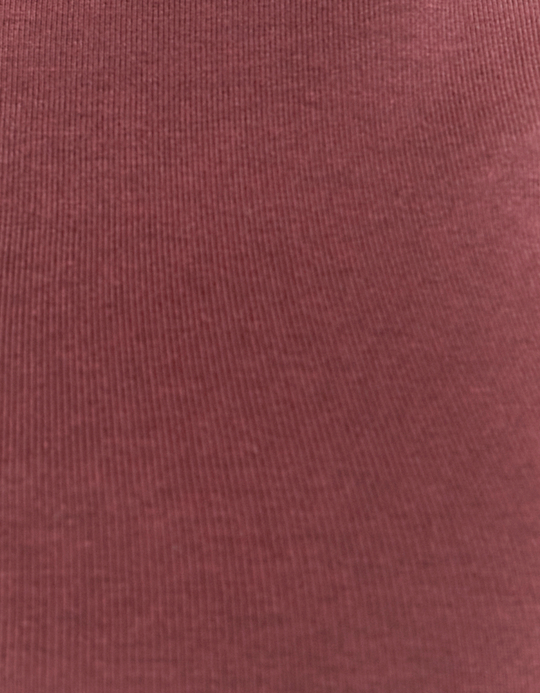 TALLY WEiJL, Burgundy Basic Top for Women