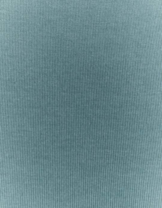 TALLY WEiJL, Blaues Cropped Basic T-Shirt for Women